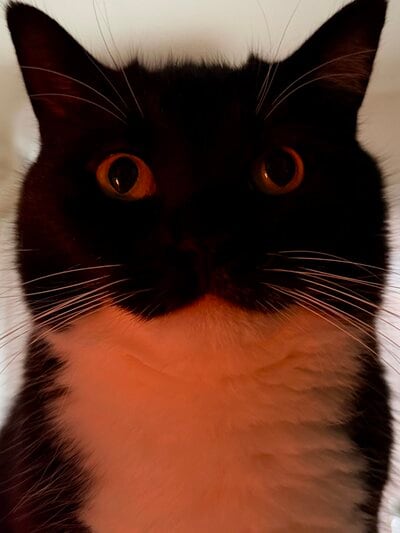 出所：＠unicouniuni3