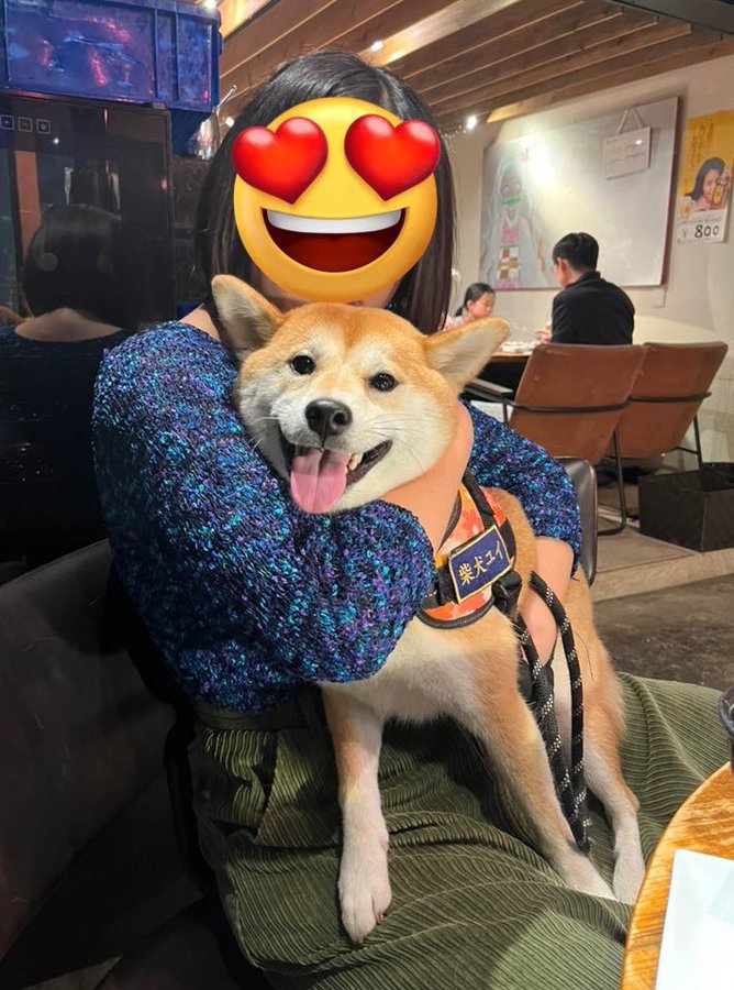 出所：@shibainu_yui