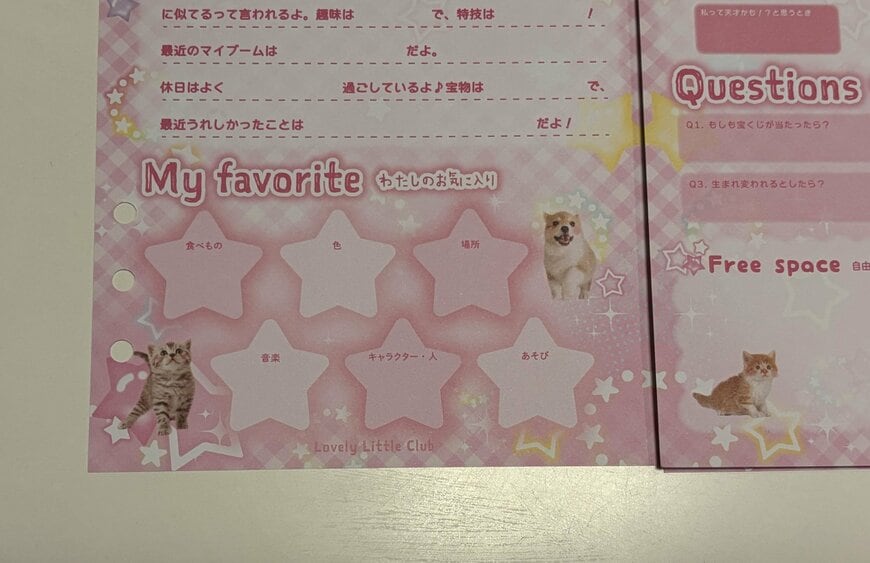 筆者撮影（セリア、A5カスタムノートリフィルプロフィール帳 18P Lovely Little Club）