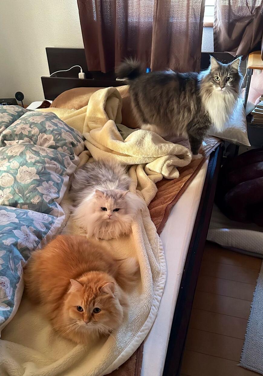 出所：@NEKOLAND13