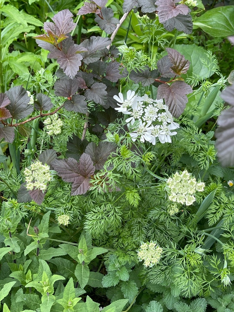 出所：假屋崎省吾のAmeba公式ブログ　参照日：2026-04-24