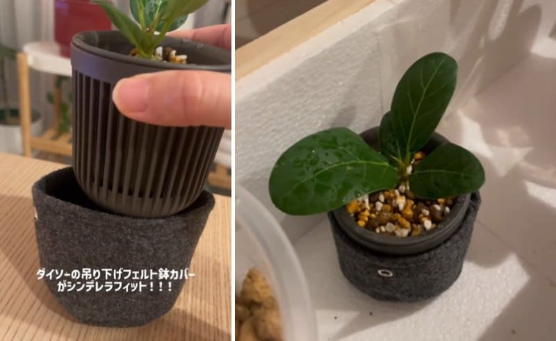 ダイソーの商品を使ったDIY