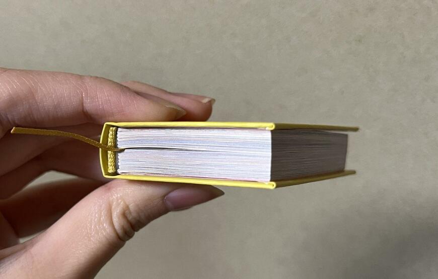 アシェット・コレクションズ・ジャパン株式会社、ディズニー ミニブック・コレクション画像