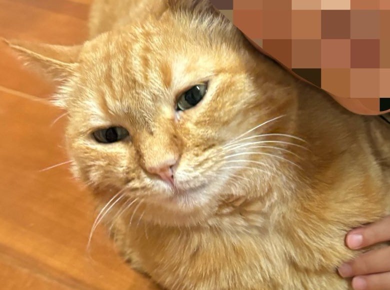 すずくんの表情をクローズアップ