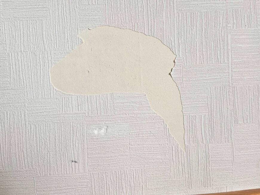 破れた壁紙