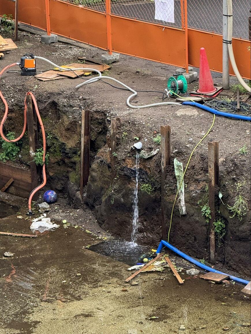 窪地のその後の様子