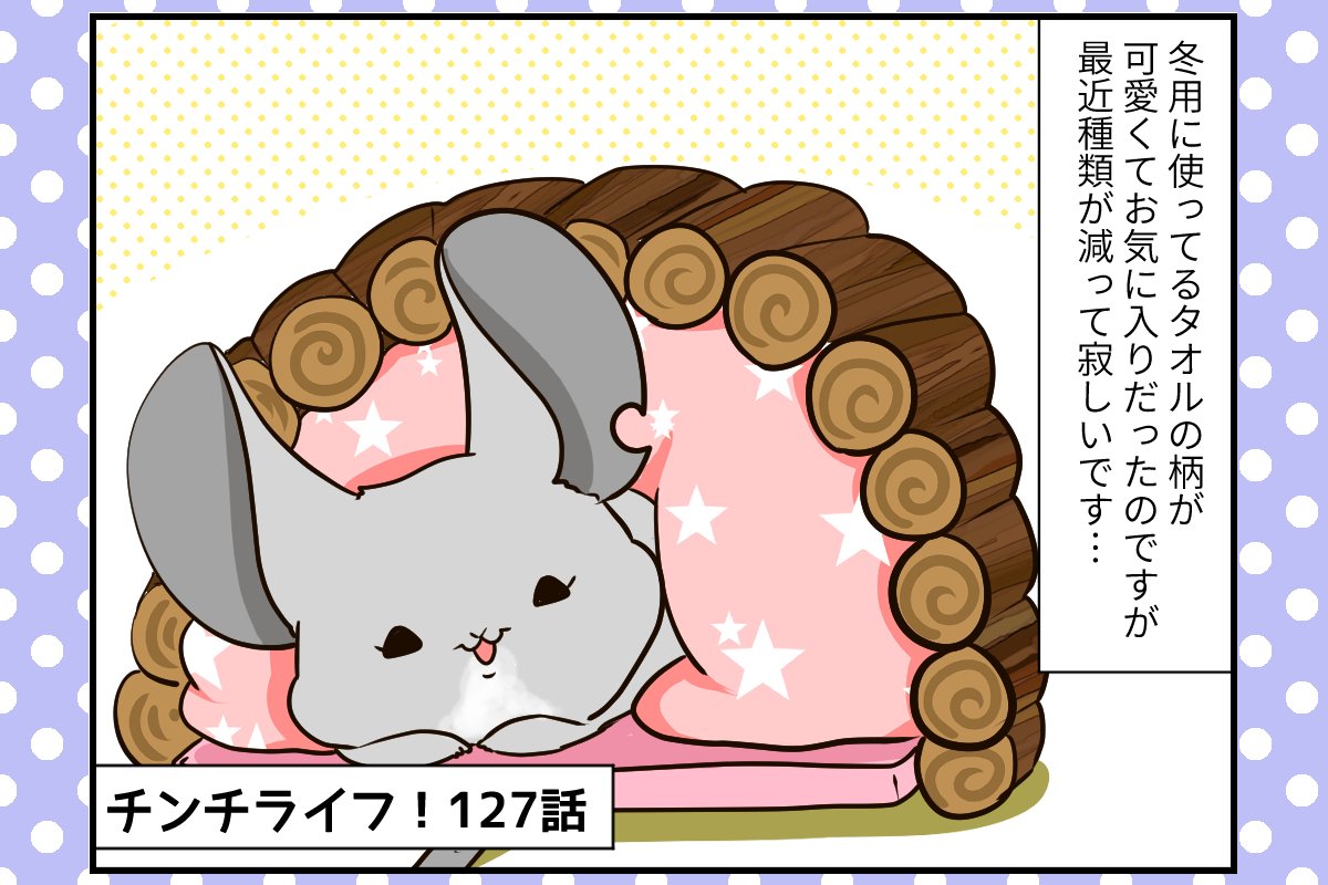 やっと買ったのに…チンチラさんに奪われた話題のモフモフグッズ