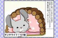 やっと買ったのに…チンチラさんに奪われた話題のモフモフグッズ【チンチライフ127話】
