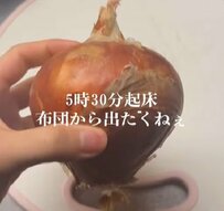 「親が離婚したから」男子高校生が全国の主婦のアイデアをもとに早朝から作る【ロコモコ風弁当】