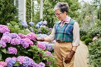 次回6月支給「厚生年金と国民年金」から天引きされるお金の正体：税金・保険料などを一覧でチェック