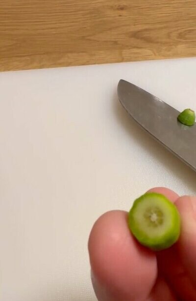 ミニレモンの断面