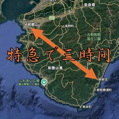 投稿の画像