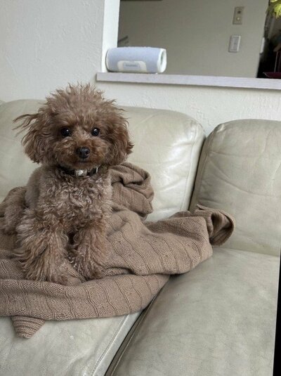 柏木由紀子の公式ブログ投稿