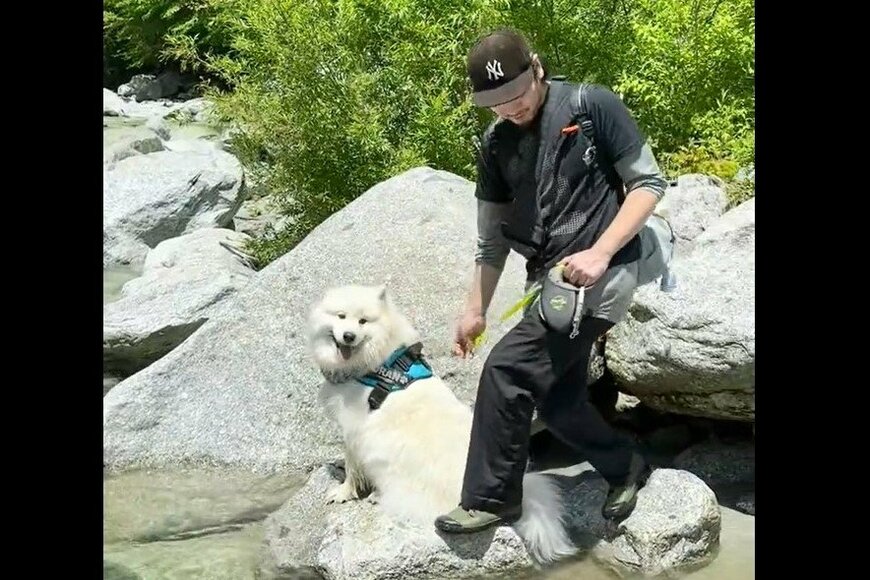 パパと水辺を散歩する犬　爆笑の展開に「さすが親子」と反響