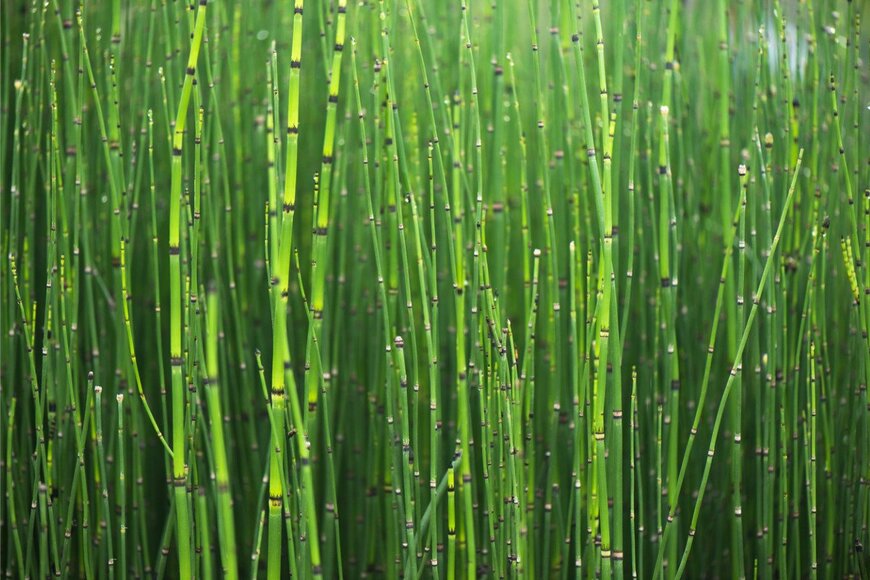 peangdao/istockphoto.com