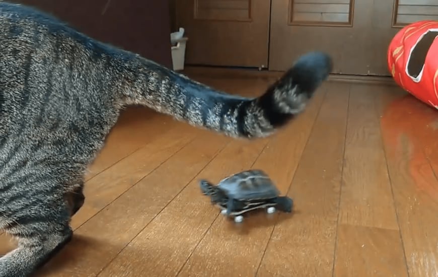 出所：@Mh0MLiErcV8E97C