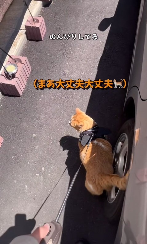 出所：@monburan_sanpo