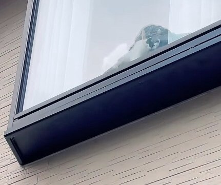 出所：@hikaitimilky