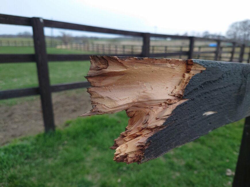 出所：Yogiboヴェルサイユリゾートファーム