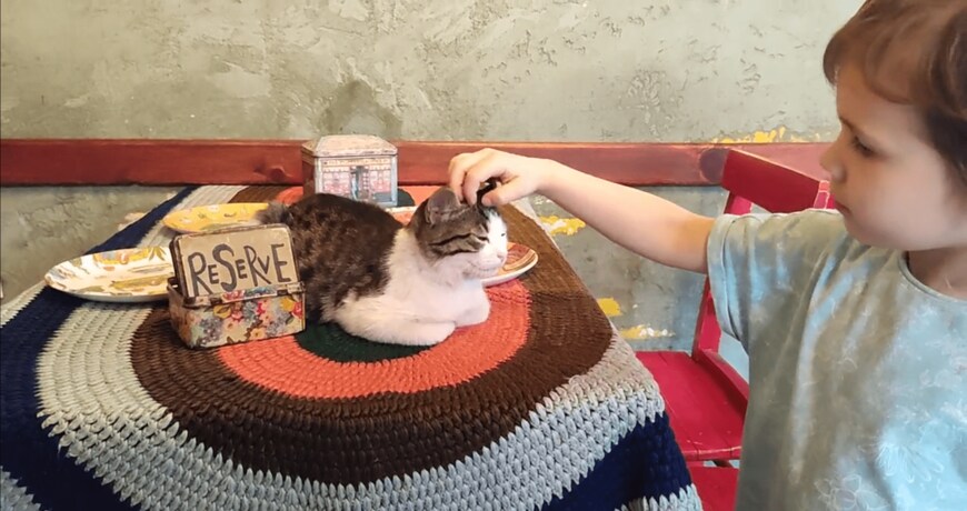 出所：@nekosanpoch