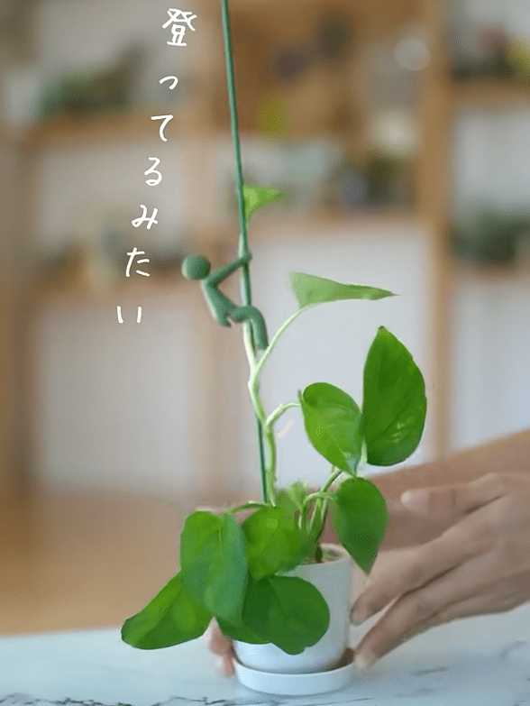 出所：@kurumidorichannel