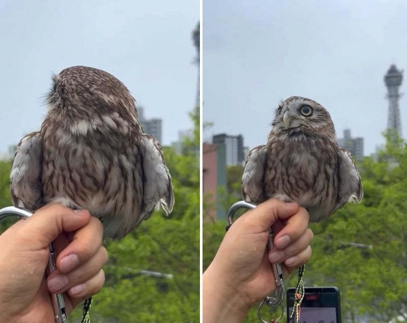 出所：@cr8673.hiro