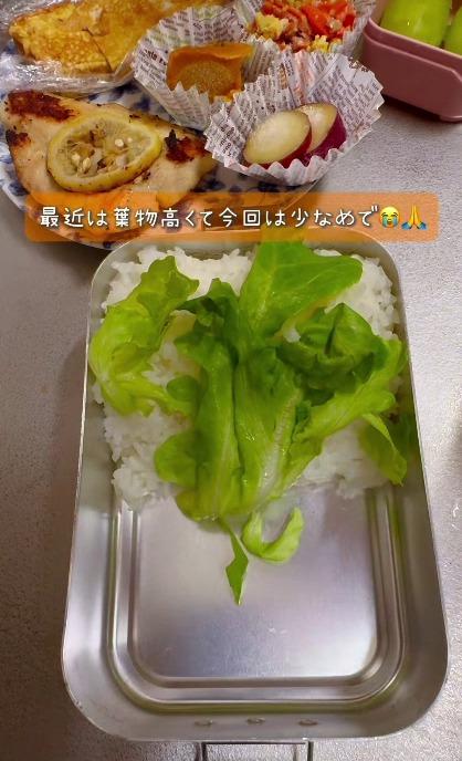 【男子高校生弁当】葉っぱは少なめでも彩り豊か。母から高校生の息子へ、白身魚の塩レモンソテーがどんとのる一段