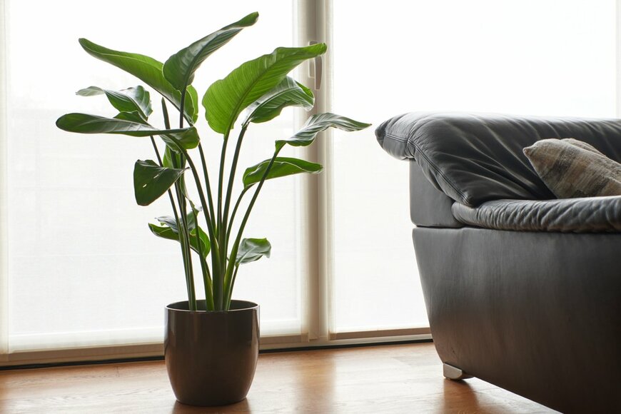 Cathy Php/shutterstock.com