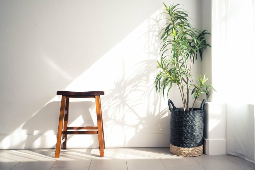                                                       Christian_Nieves1/shutterstock.com