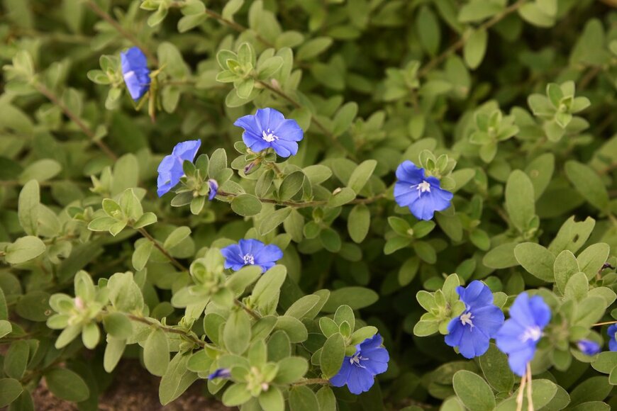 undefined undefined/istockphoto.com