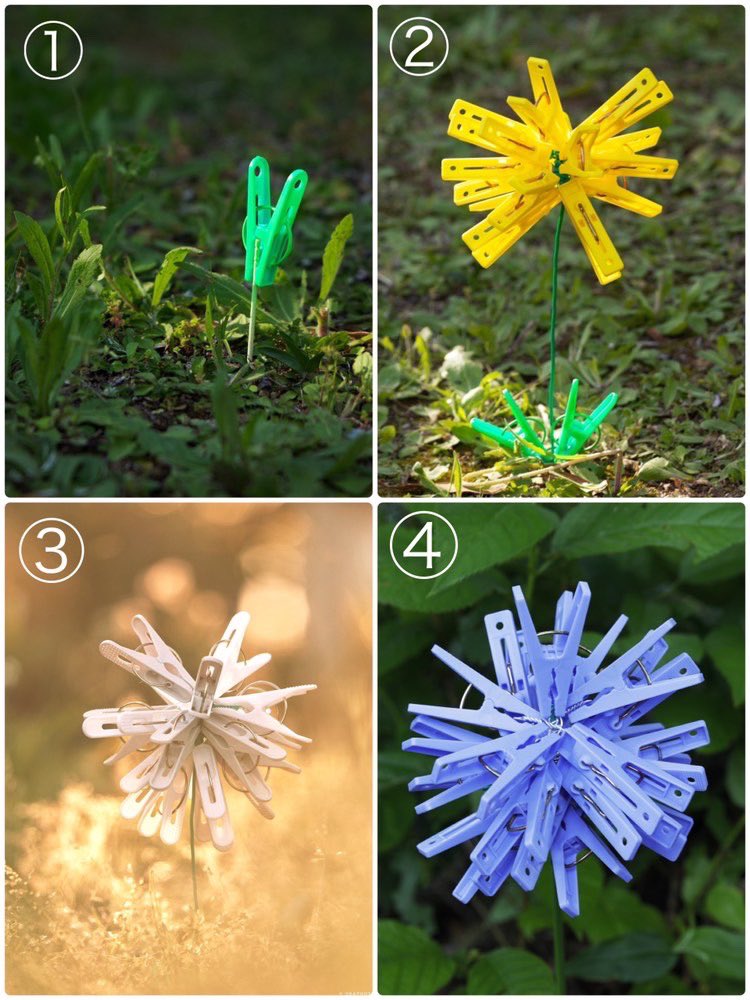 画像出所：@okaphotoart