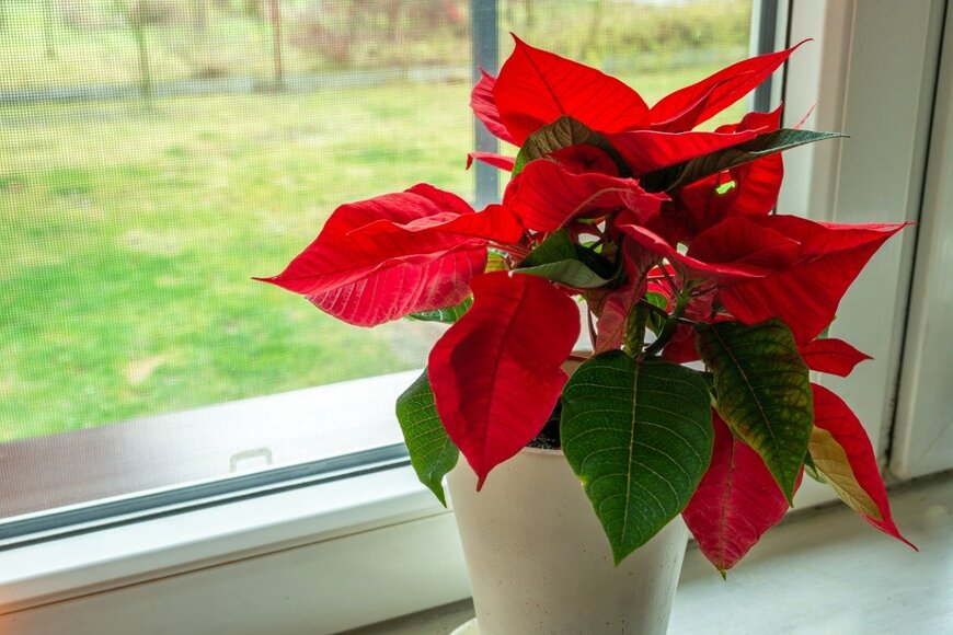 Dariusz Banaszuk/istockphoto.com