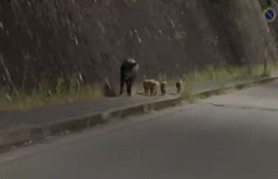 投稿の画像