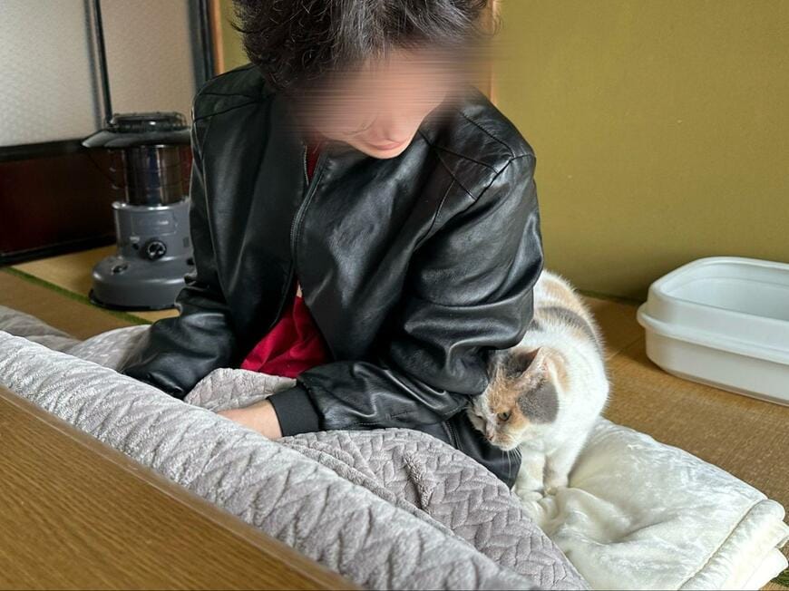 猫とパートナー