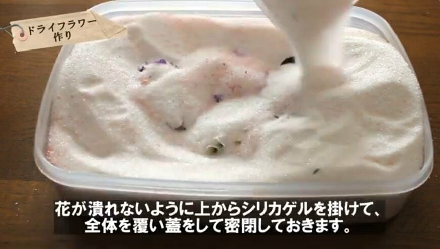 @チェリーガーデン