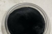 【猫は液体】金魚鉢に入った黒猫ちゃんに思わず目を疑う　まるで「本物の墨汁」のようだと話題に