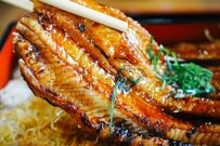 【土用の丑の日】松屋・ガスト・元気寿司のキャンペーンとは？期間限定の商品も解説！