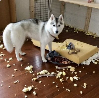 投稿の画像