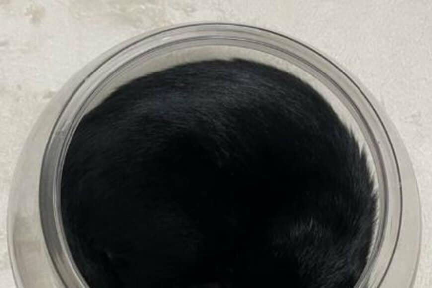 【猫は液体】金魚鉢に入った黒猫ちゃんに思わず目を疑う　まるで「本物の墨汁」のようだと話題に
