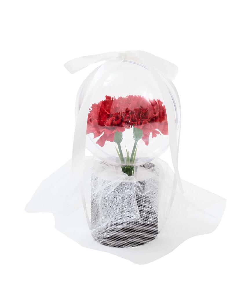 出所：パルグループ公式ファッション通販サイト 3COINS フラワーバルーン／Happy Mother's Day！