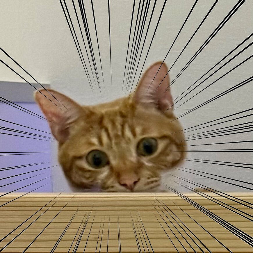 出所：@omochi_nam01