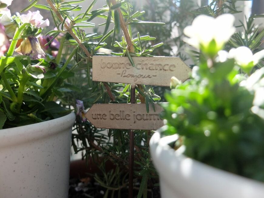 筆者撮影（セリア、ブリキガーデンピック プレート）