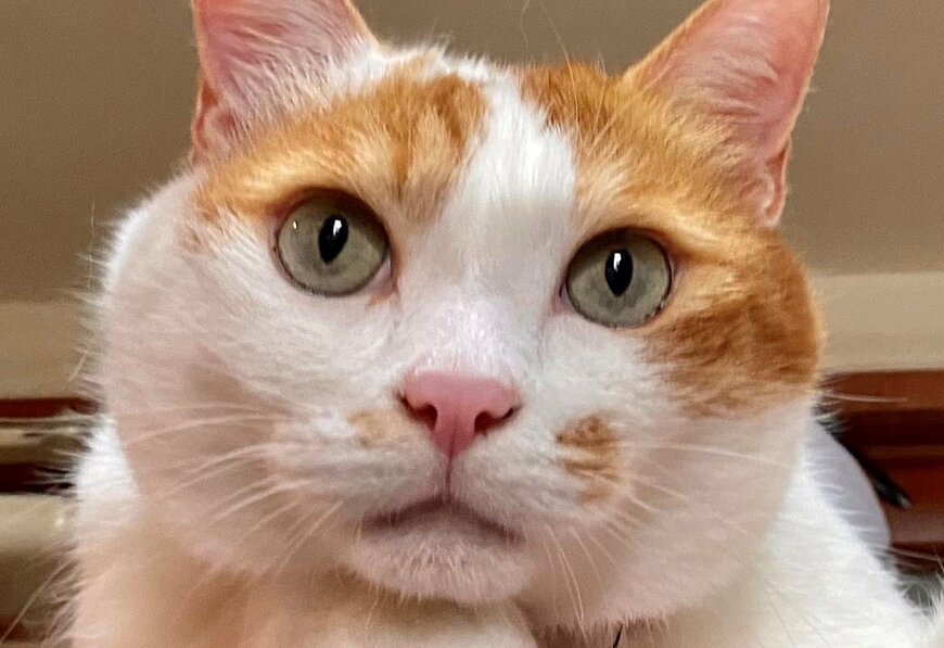 出所：@luna7taka9