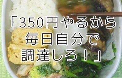 【予算350円弁当】反抗期の高校生息子に作る「なす＆ピーマンW主役」の弁当がボリューム満点！