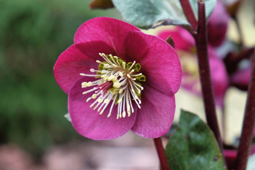 Alex Manders/shutterstock.com