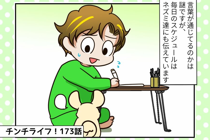 【チンチライフ第173話】福くん、部屋んぽ中にまさかの珍事件！「絶対に何かやらかすと思ったら……」祭さんの予想が的中!?