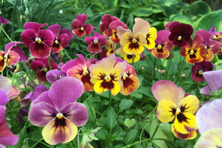 Jean Ladzinski/shutterstock.com