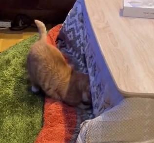 出所：@kotaro_0315