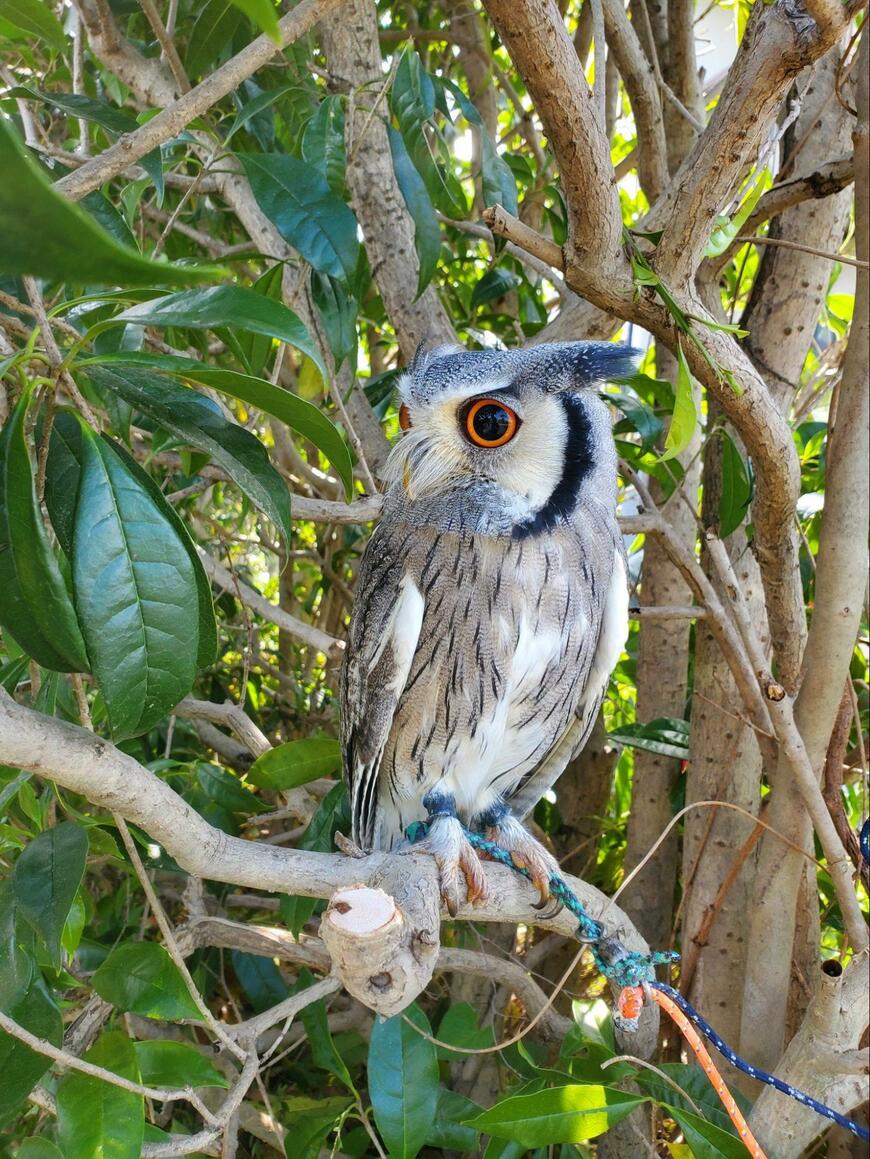 出所：@joker1999jr