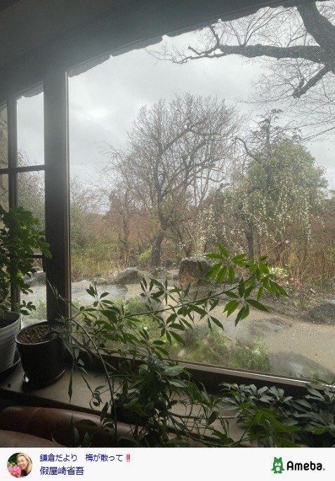 出所：假屋崎省吾の公式ブログ　参照日：2026年2月26日